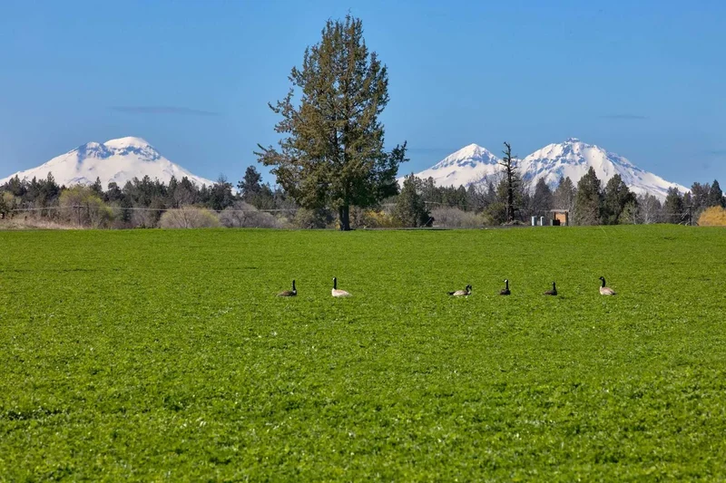 10300 NE Canyons Ranch Drive , Terrebonne, OR 97760, Terrebonne, Oregon, United States. - Photo 6