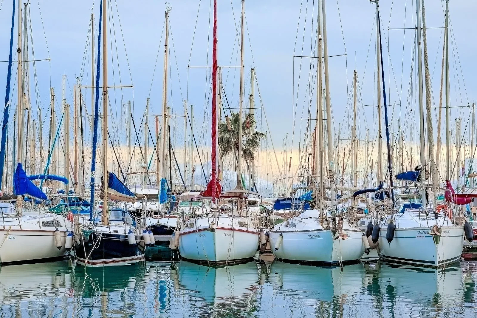 ARXIDUC, Palma De Mallorca, Baleares, Palma De Mallorca, Palma, Balearic Islands, Spain. - Photo 19