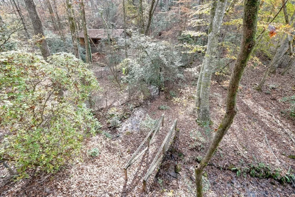 2479 Plum Orchard Road, Clayton, Georgia, United States. - Photo 57
