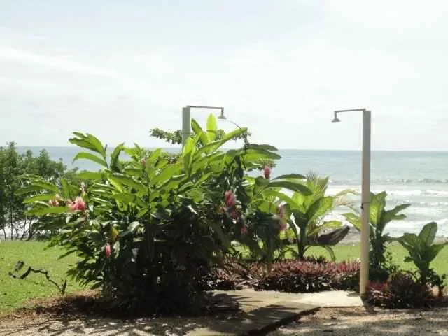 Guanacaste Province, Santa Cruz, Costa Rica, Santa Cruz, Guanacaste Province, Costa Rica. - Photo 23