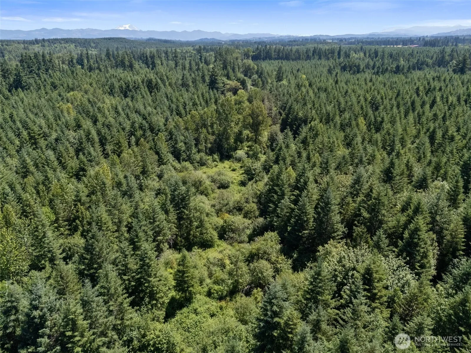 0 Kiser, Ethel, WA 98542, Chehalis, Washington, United States. - Photo 10