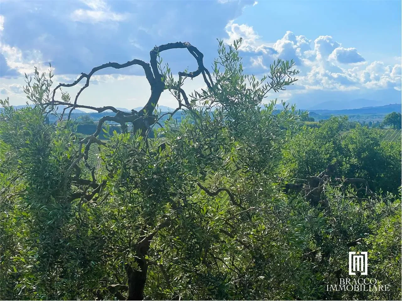 Via Roma, Cerreto Guidi, Tuscany, Italy. - Photo 27