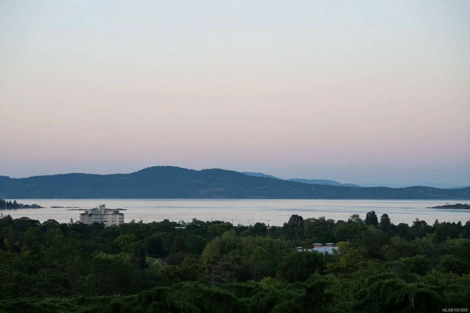 305 Denison Rd, Oak Bay, British Columbia, Canada. - Photo 43