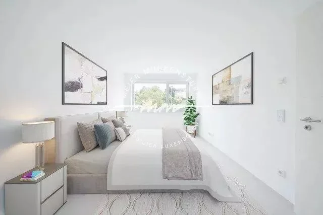 Gallery photo 4