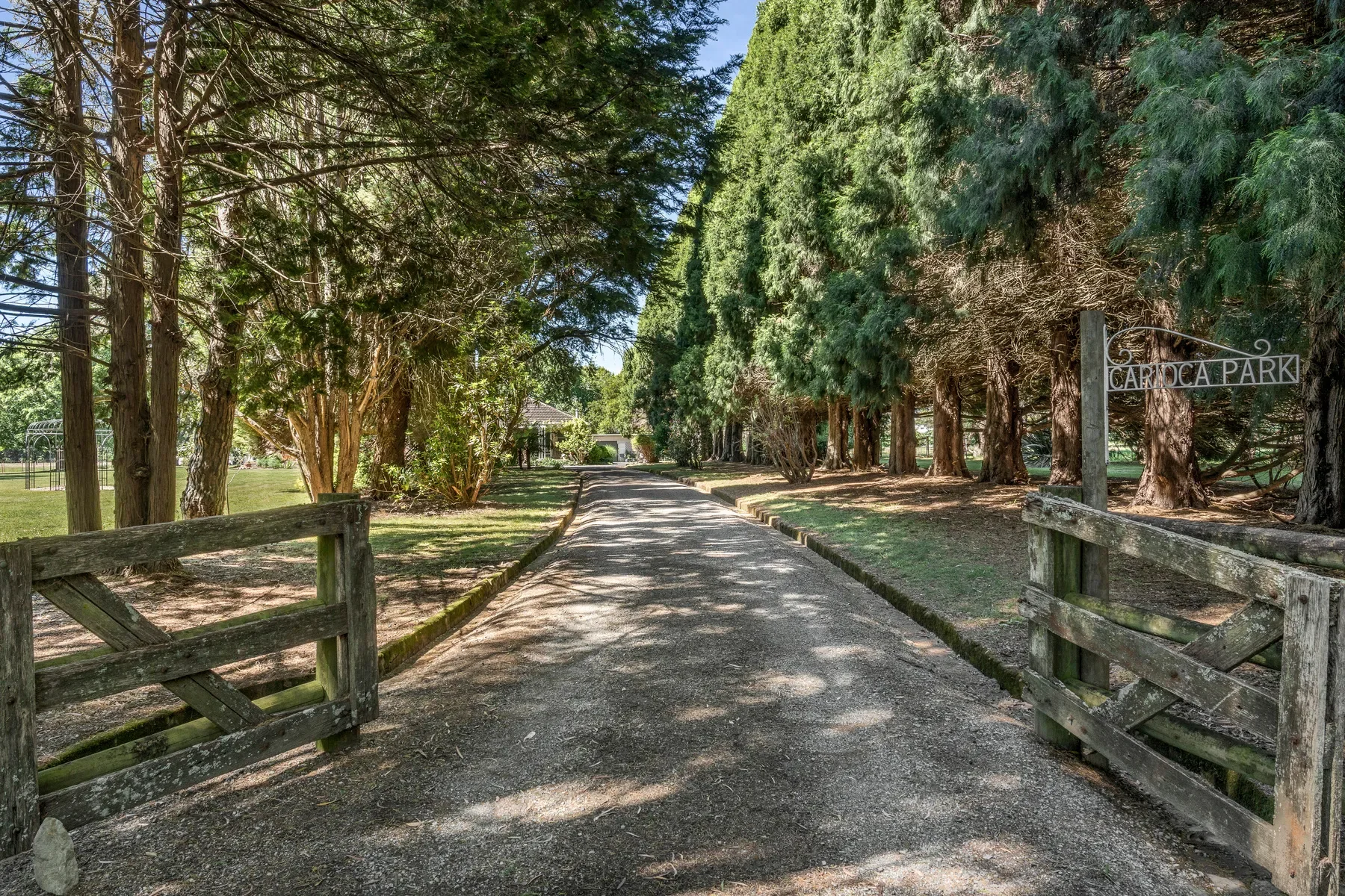 Gallery photo 6