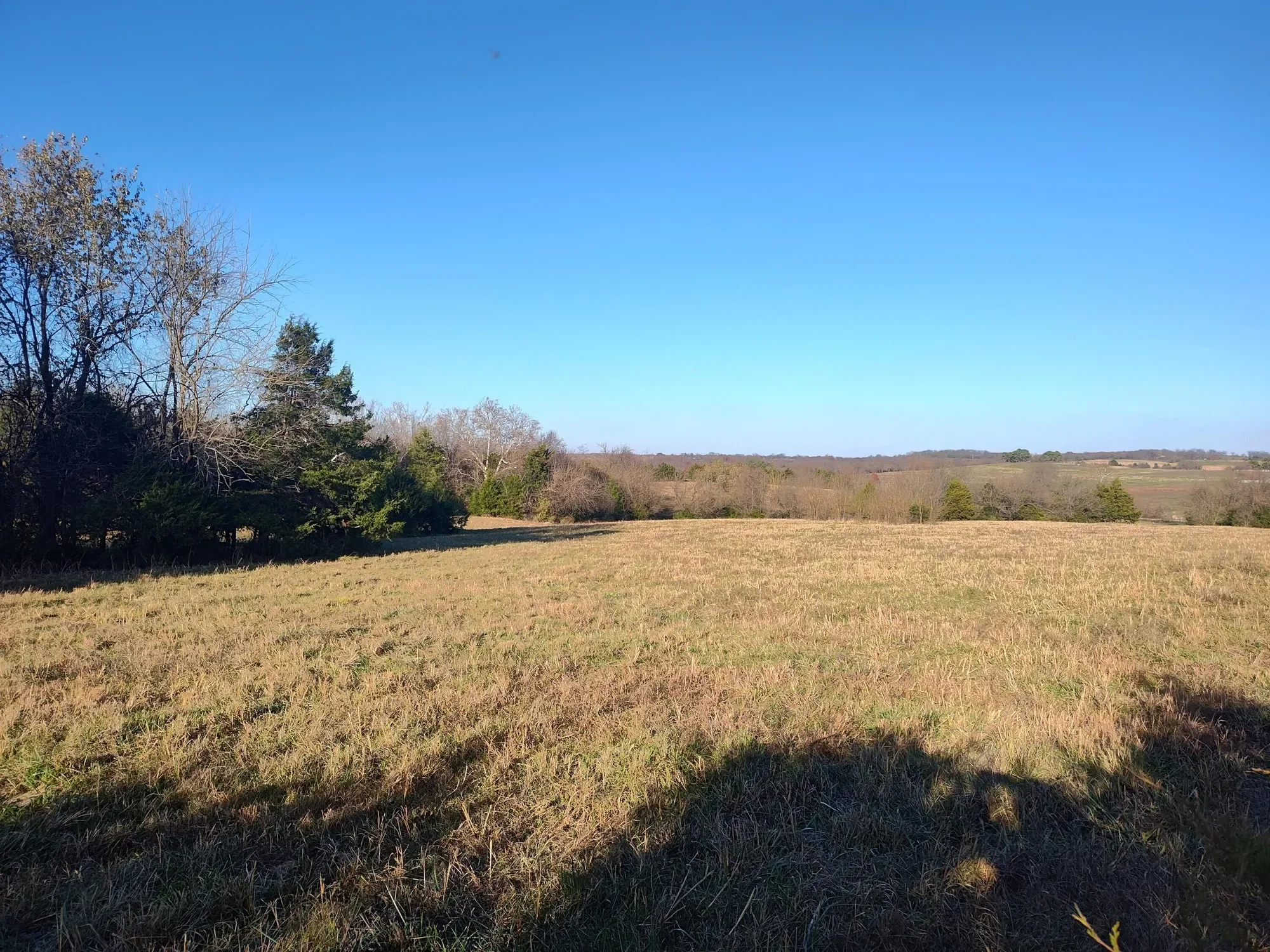 1672 E 355th Road, Bolivar, MO 65613, Pittsburg, Missouri, United States. - Photo 51