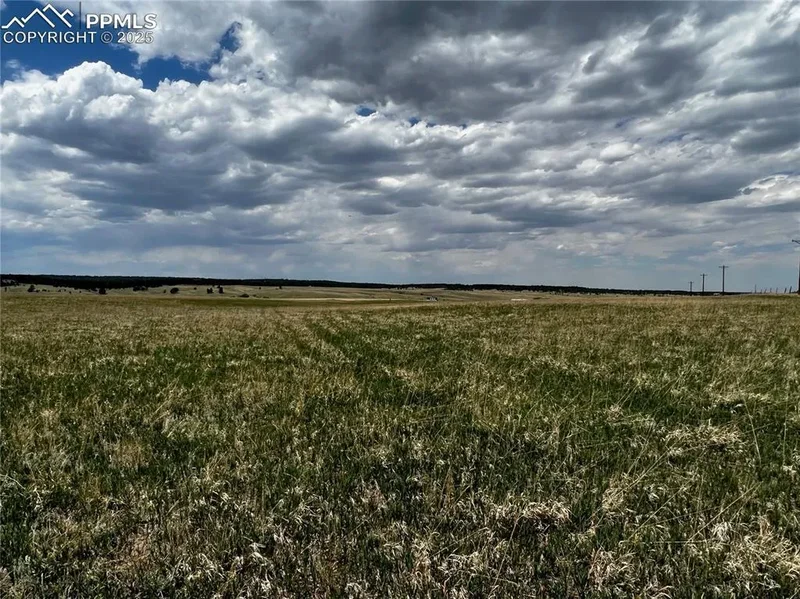 11970 Woodridge Terrace, Colorado Springs, CO 80908, Colorado Springs, Colorado, United States. - Photo 15