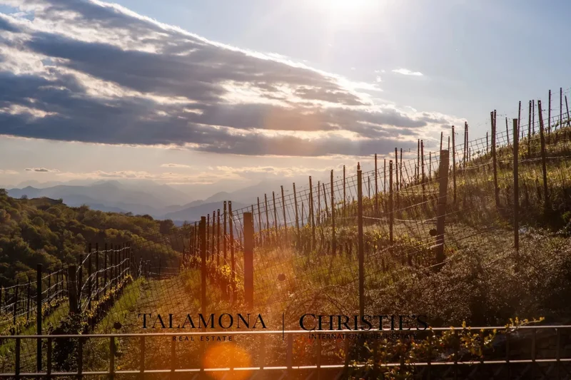 Serravalle Langhe, Piedmont, Italy. - Photo 74