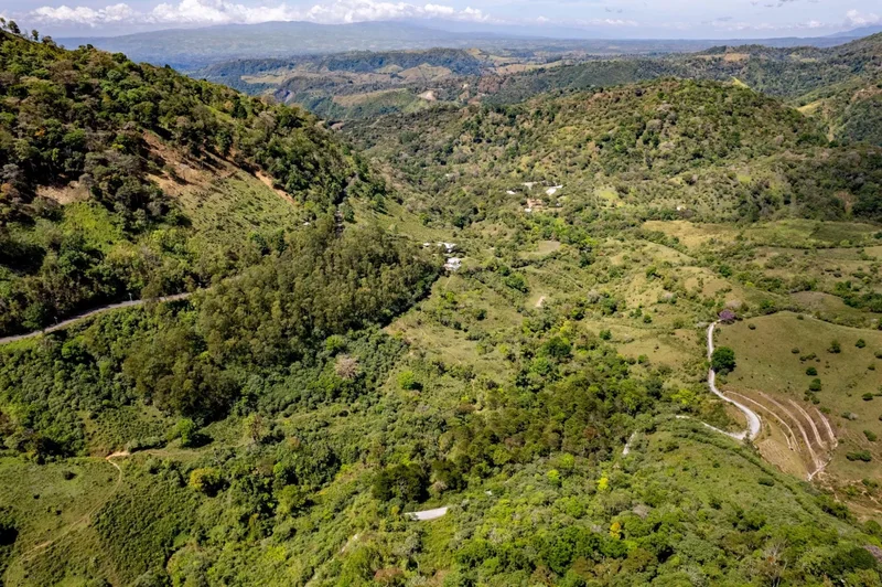 Bugaba VIA VOLCAN, Nueva California, Chiriquí Province, Panama. - Photo 27