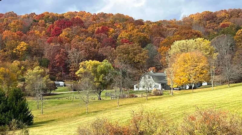 701 Bishop Road, Blacksburg, VA 24060, Blacksburg, Virginia, United States. - Photo 113