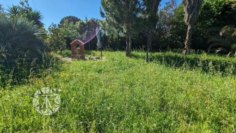 Argelès-sur-Mer, Occitanie, France. - Photo 11