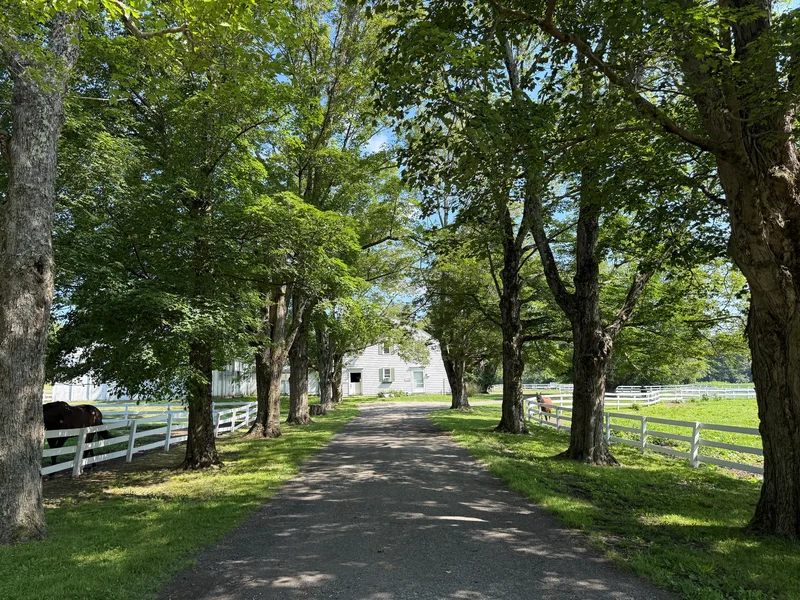 802 State Rd, Richmond, MA 01254, Richmond, Massachusetts, United States. - Photo 6