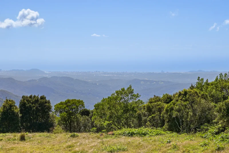 3000 Springbrook Road, Springbrook, Gold Coast, QLD, Springbrook, Queensland, Australia. - Photo 2