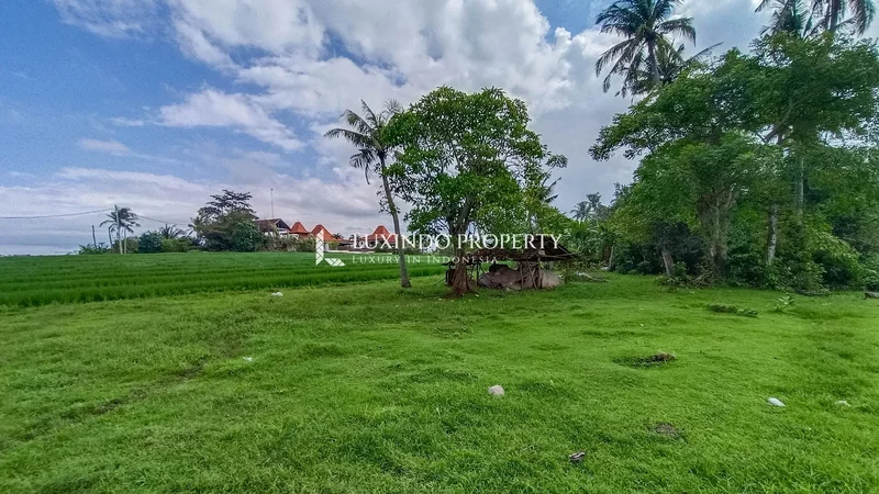 TABANAN - ABSOLUTE BEACHFRONT LAND IN BERABAN