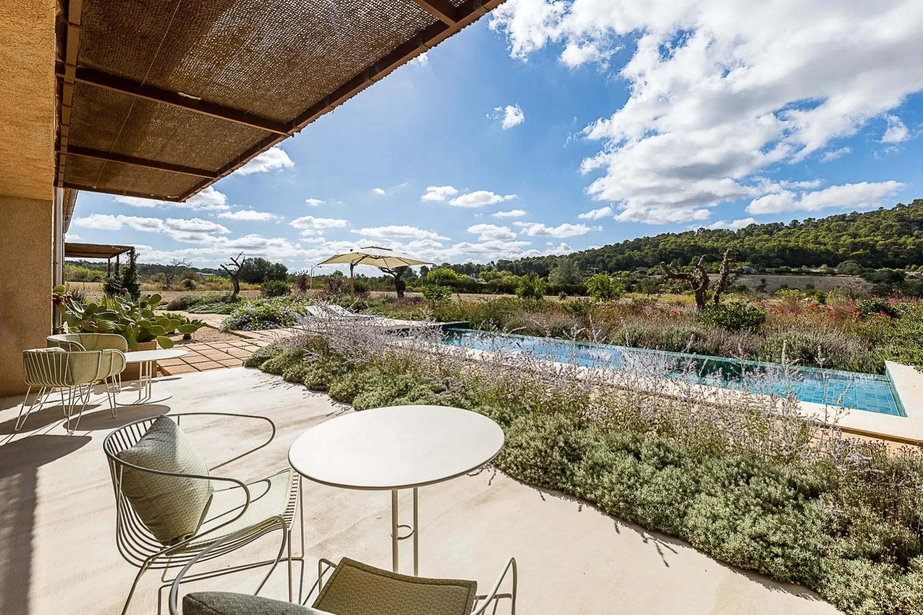 Llucmajor Interior, Llucmajor, BALEARES, Llucmajor, Llucmajor, Balearic Islands, Spain. - Photo 10