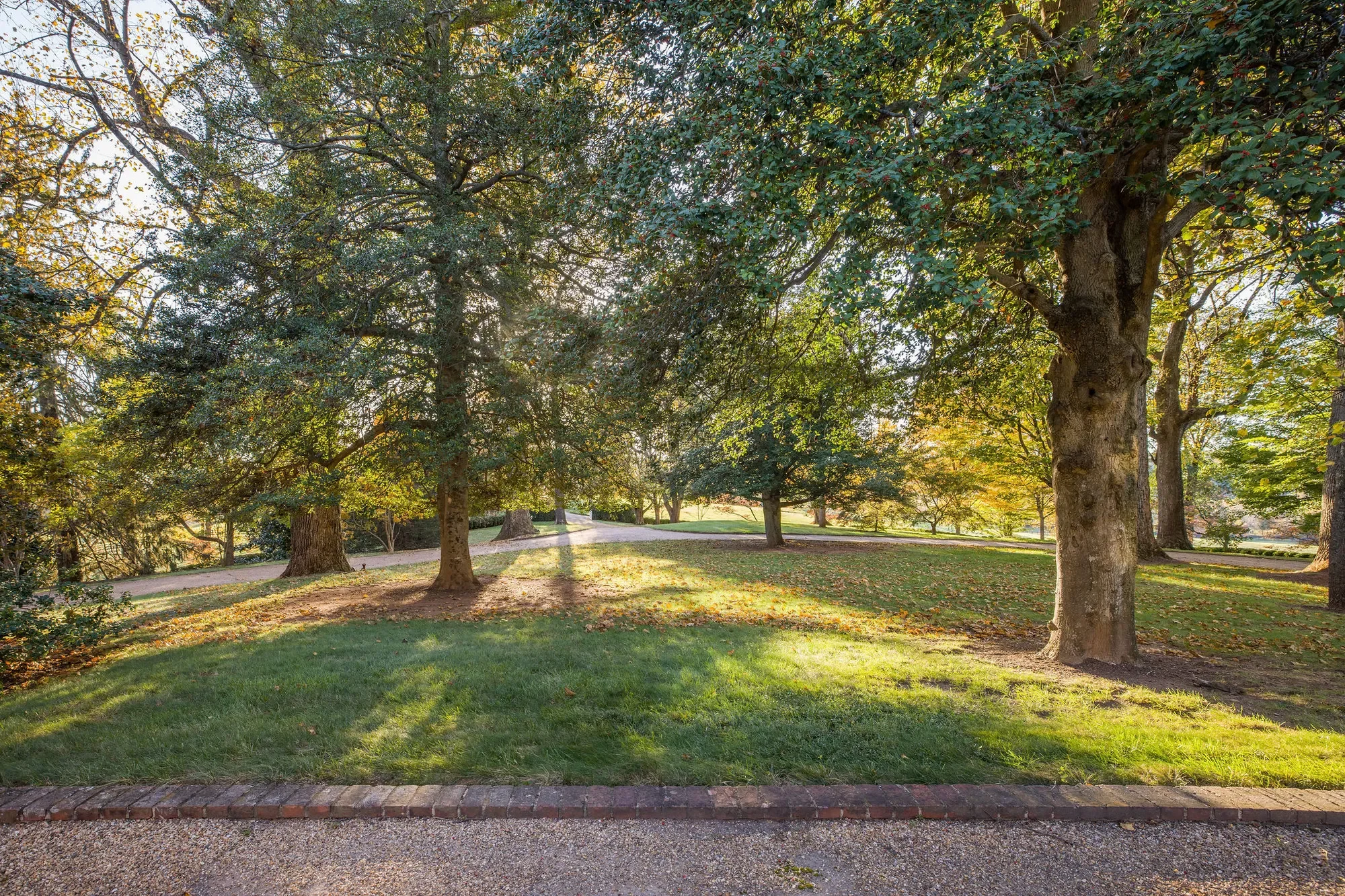 19184 Mount Sharon Road, Orange, VA 22960, Rapidan, Virginia, United States. - Photo 27