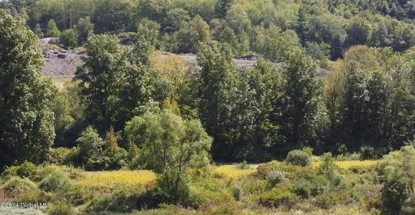 729 State Route 9N, Ticonderoga, New York, United States. - Hero Image