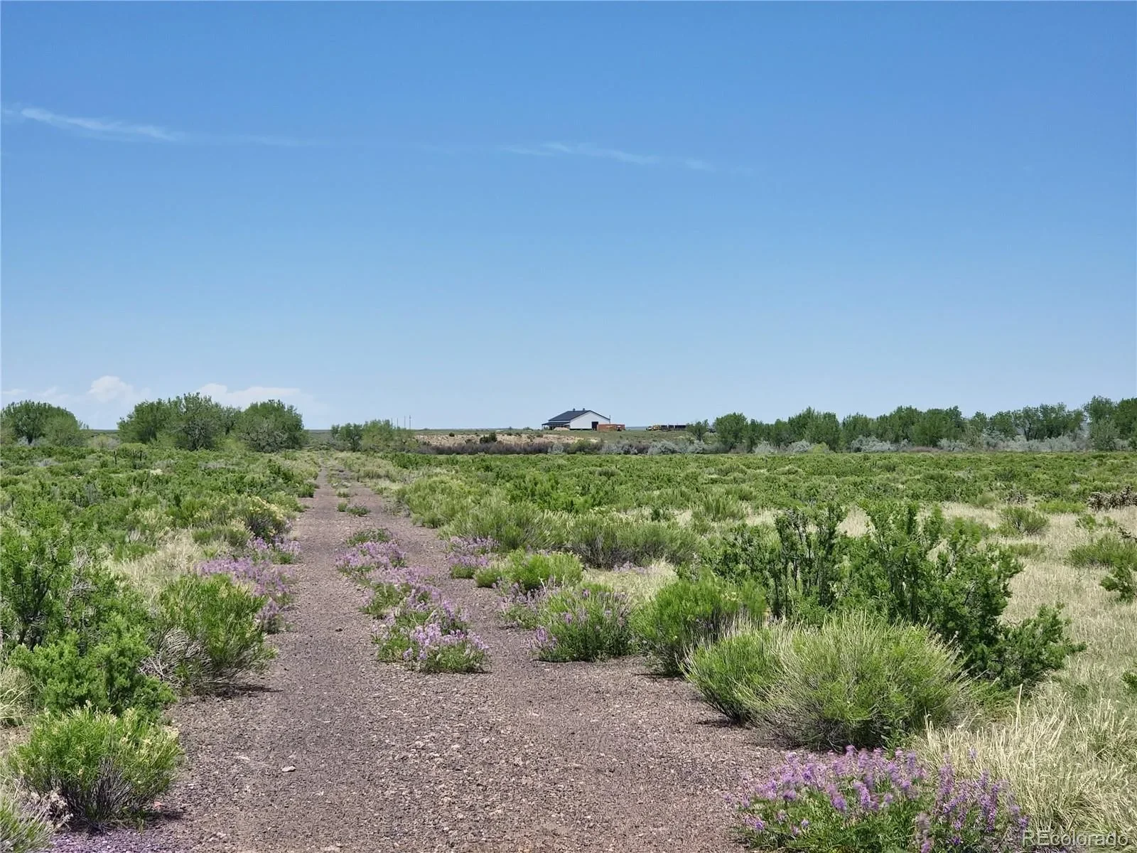 Walsenburg, Colorado, United States. - Photo 29