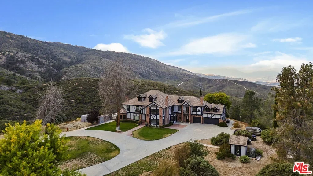 28765 Pine Canyon Road, Lake Hughes, California, United States. - Photo 18