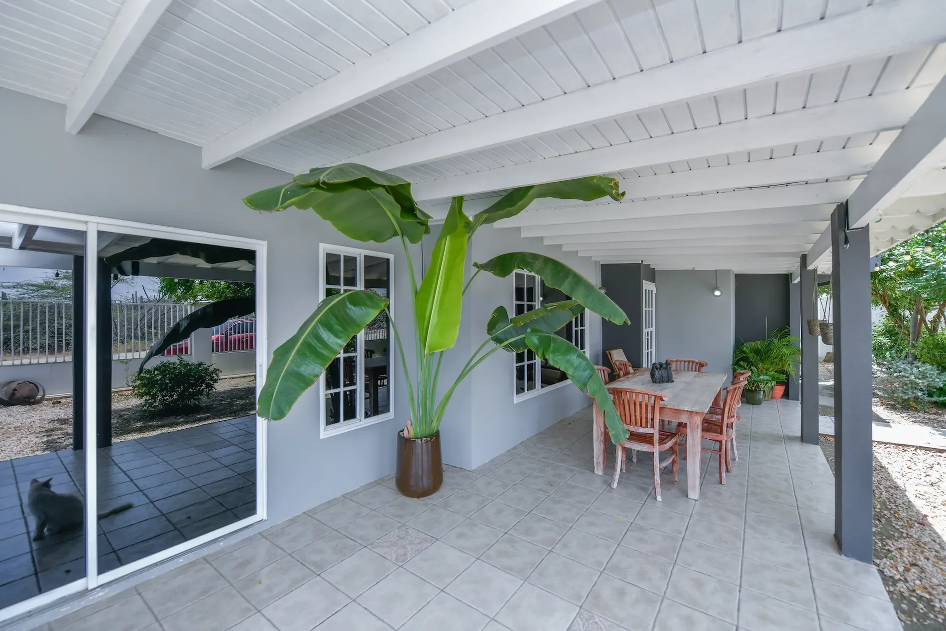 Noord, Aruba. - Photo 26