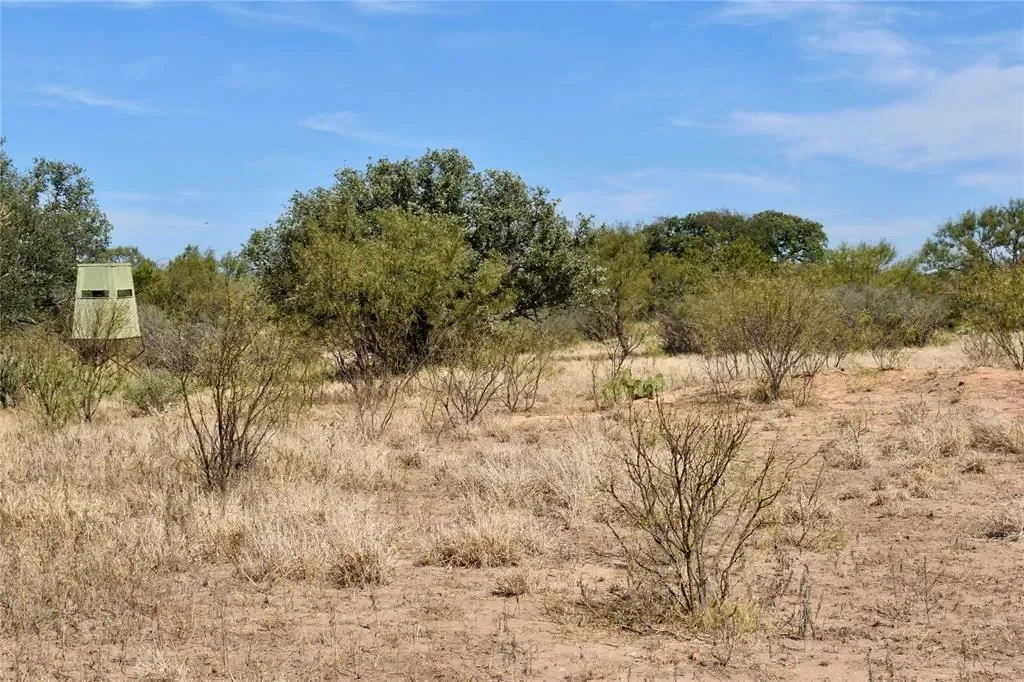 19319 Ranch Road 1871, Mason, Texas, United States. - Photo 26