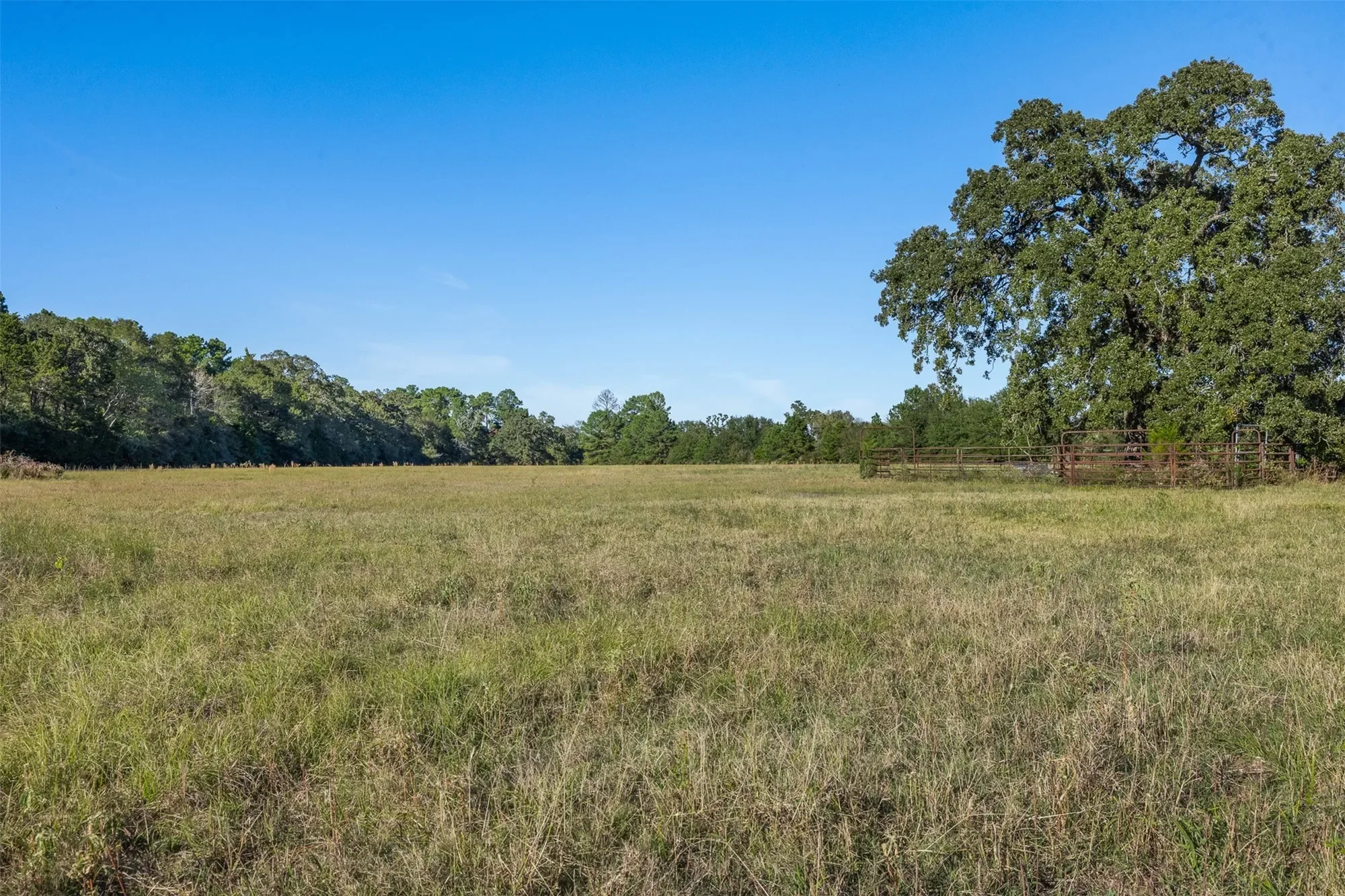16121 Fm 2620 Road, Bedias, TX 77831, 77831, Texas, United States. - Photo 10