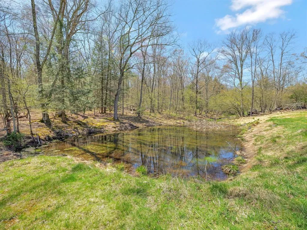 65 York Lake Road, Barryville, NY 12719, Barryville, New York, United States. - Photo 14