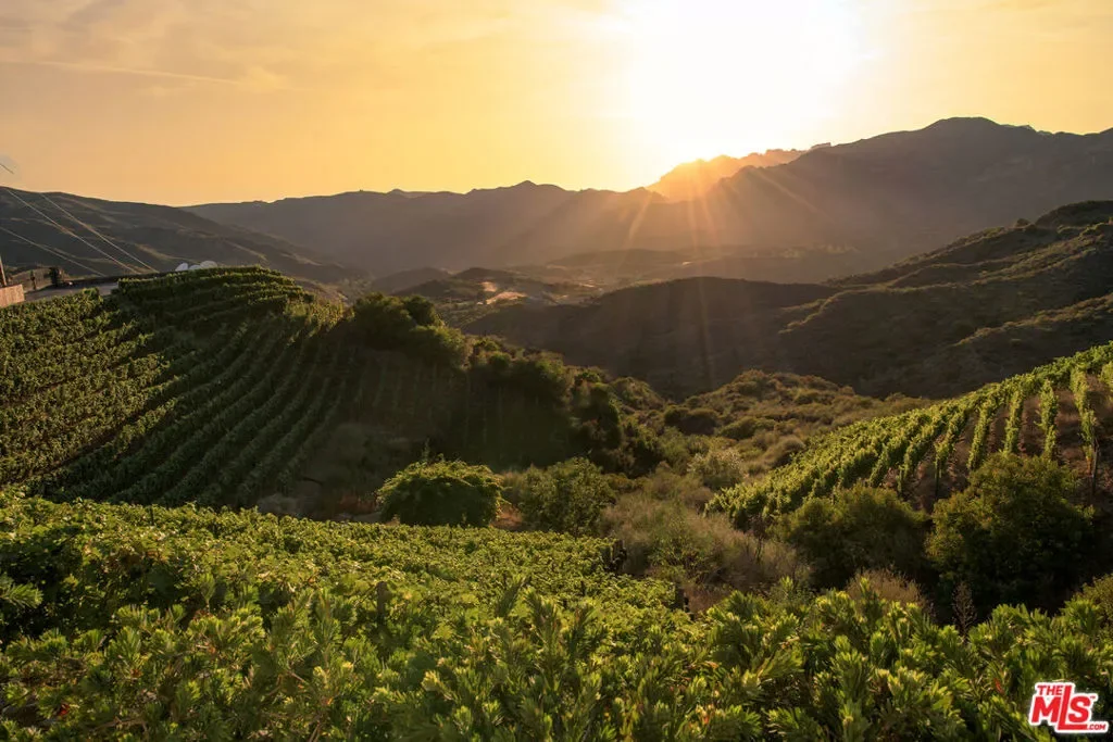 33330 Hassted Drive, Malibu, California, United States. - Photo 37