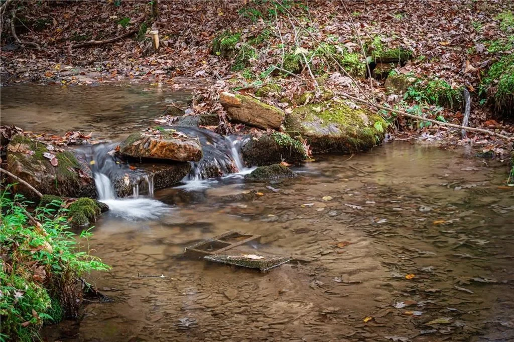 339 Wehunt Road, Blue Ridge, Georgia, United States. - Photo 65