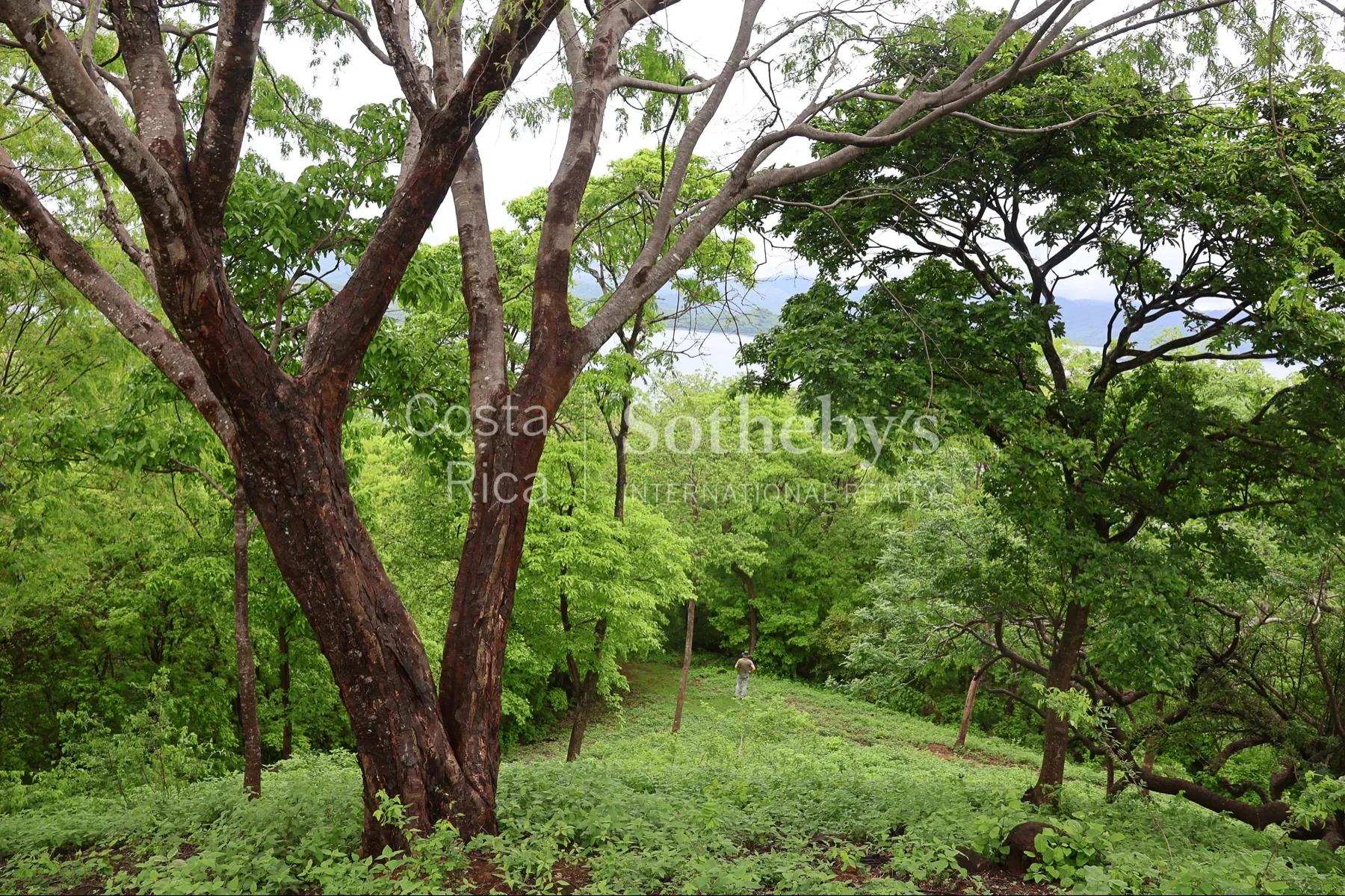 Gallery photo 8