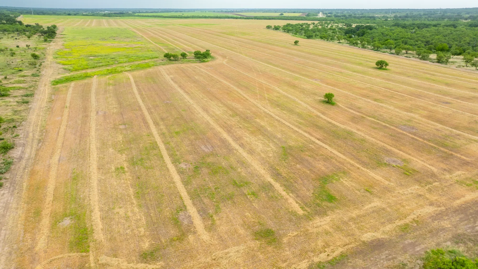 Brady Creek Ranch CR 3388, Melvin, TX 76858, Melvin, Texas, United States. - Photo 47