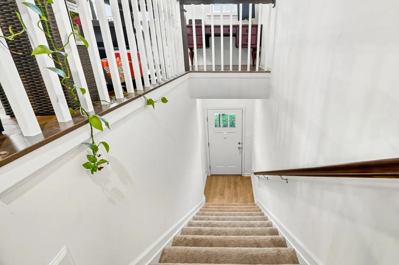 Gallery photo 5