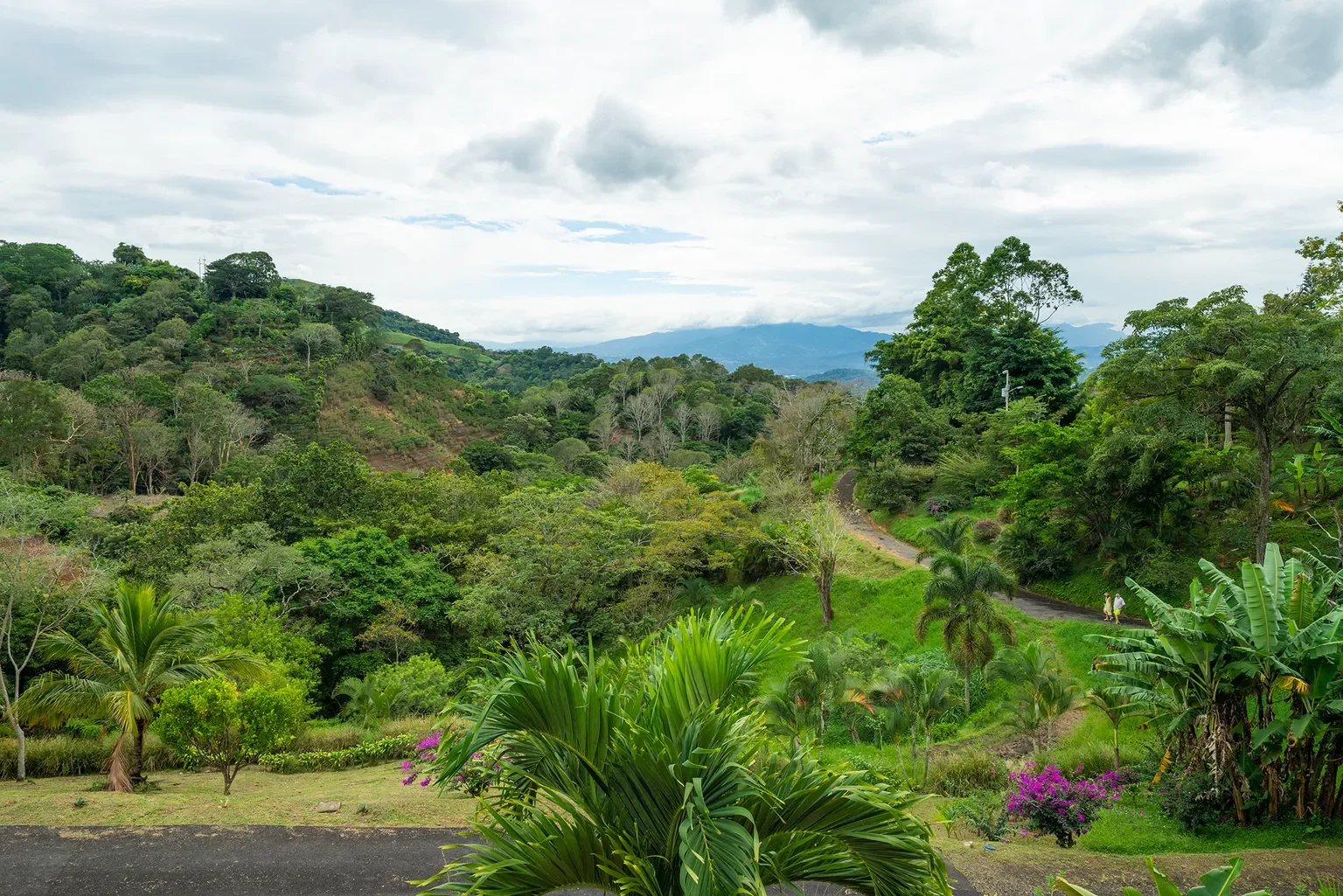 Alajuela Province, Atenas, Costa Rica, Atenas, Alajuela Province, Costa Rica. - Photo 49