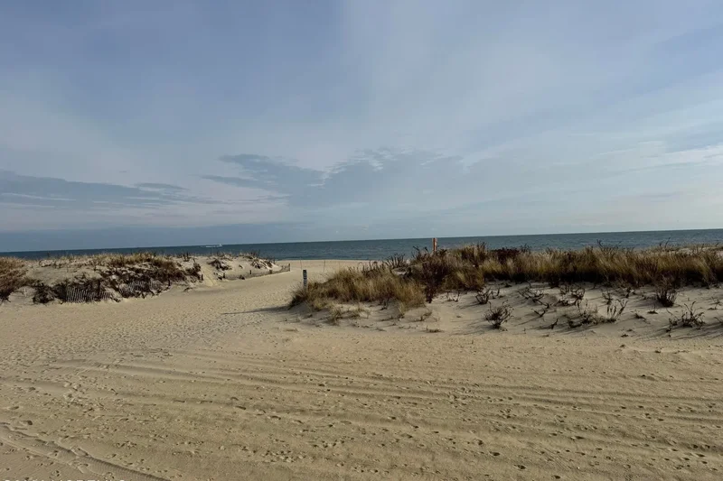 311 Ocean Park Ave, Bradley Beach, NJ 07720, Bradley Beach, New Jersey, United States. - Photo 3