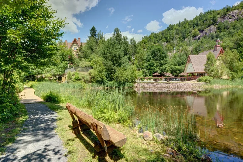 222 Ch. de la Forêt 2, Mont-Tremblant, Quebec, Canada. - Photo 19
