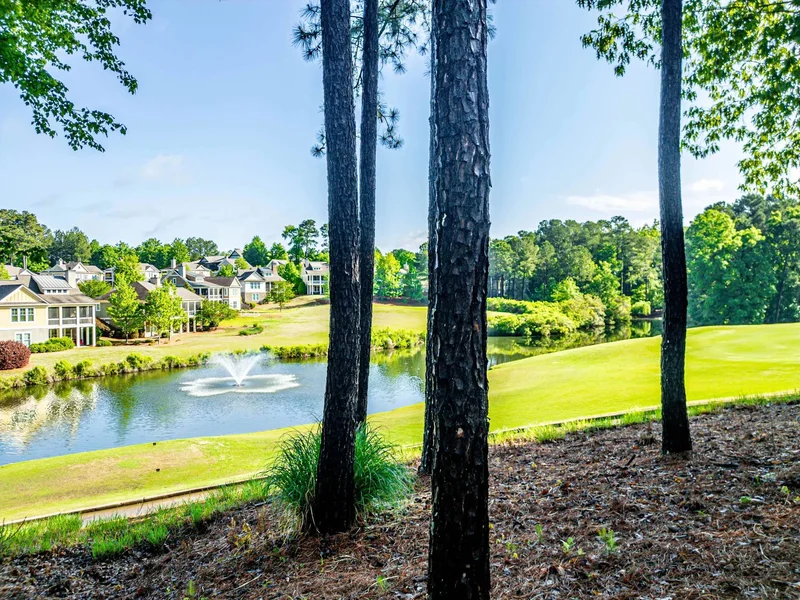 1041 CLUB POINTE CIRCLE, Greensboro, GA 30642, Greensboro, Georgia, United States. - Photo 59