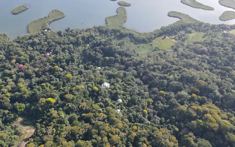 Bahía Honda, Bastimento, Provincia de Bocas del Toro, Panama, Bastimentos Island, Bocas del Toro Province, Panama. - Photo 37