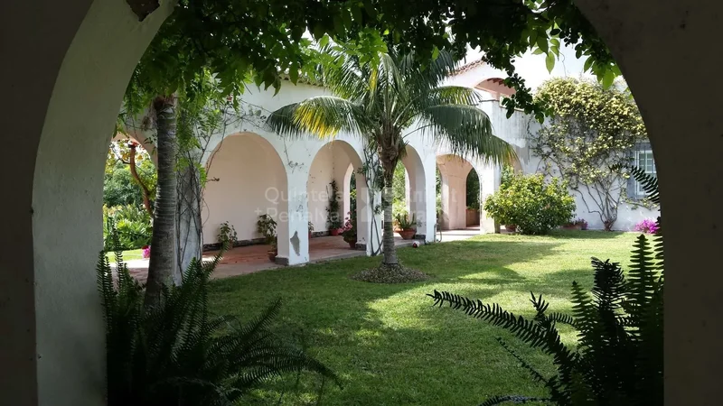 Laranjeiro e Feijo, Setubal, Portugal. - Photo 36