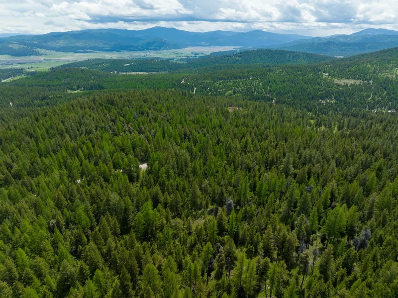 NHN Copper Road, Kalispell, Montana, United States. - Photo 4