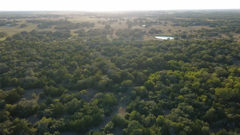 0 County Road 374, Hallettsville, TX 77964, Yoakum, Texas, United States. - Photo 6
