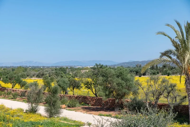 07620 Llucmajor, Balearic Islands, Spain, Llucmajor, Balearic Islands, Spain. - Photo 27