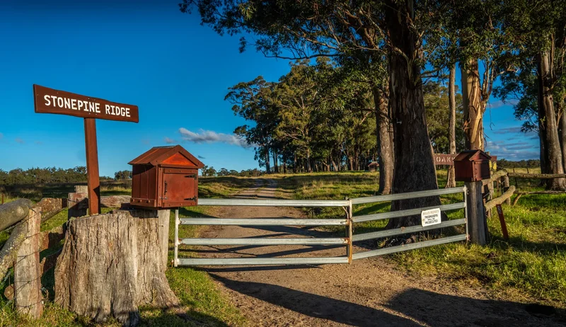 224 Wallaroo Range Rd, Willsons Downfall NSW 2372, Australia, Willsons Downfall, New South Wales, Australia. - Photo 32