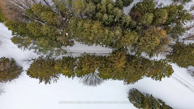 21455 Warden Avenue, East Gwillimbury, Ontario, Canada. - Photo 36