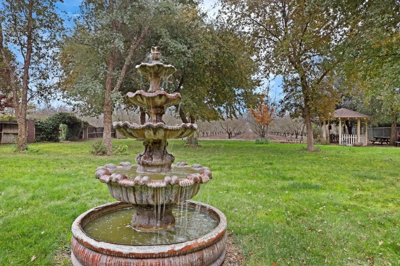 5850 W Durham Ferry, Tracy, CA 95304, Tracy, California, United States. - Photo 62