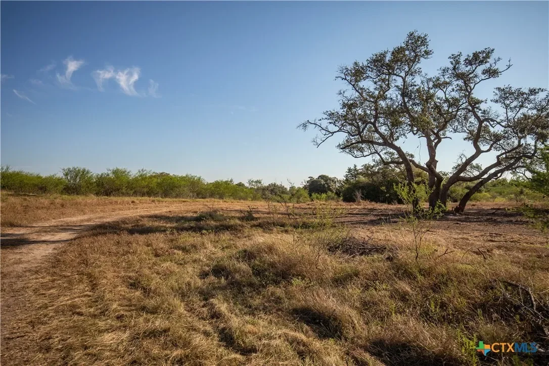 000 Stratton Road, Yoakum, TX 77995, Yoakum, Texas, United States. - Photo 5