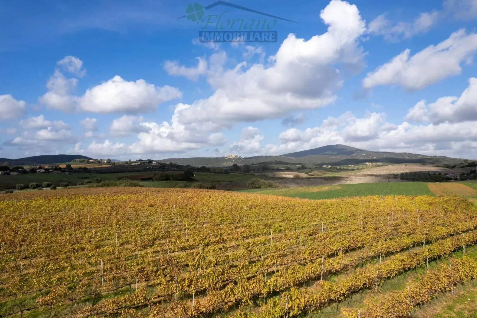 Strada Pedemontana, Capalbio, Tuscany, Italy. - Photo 31