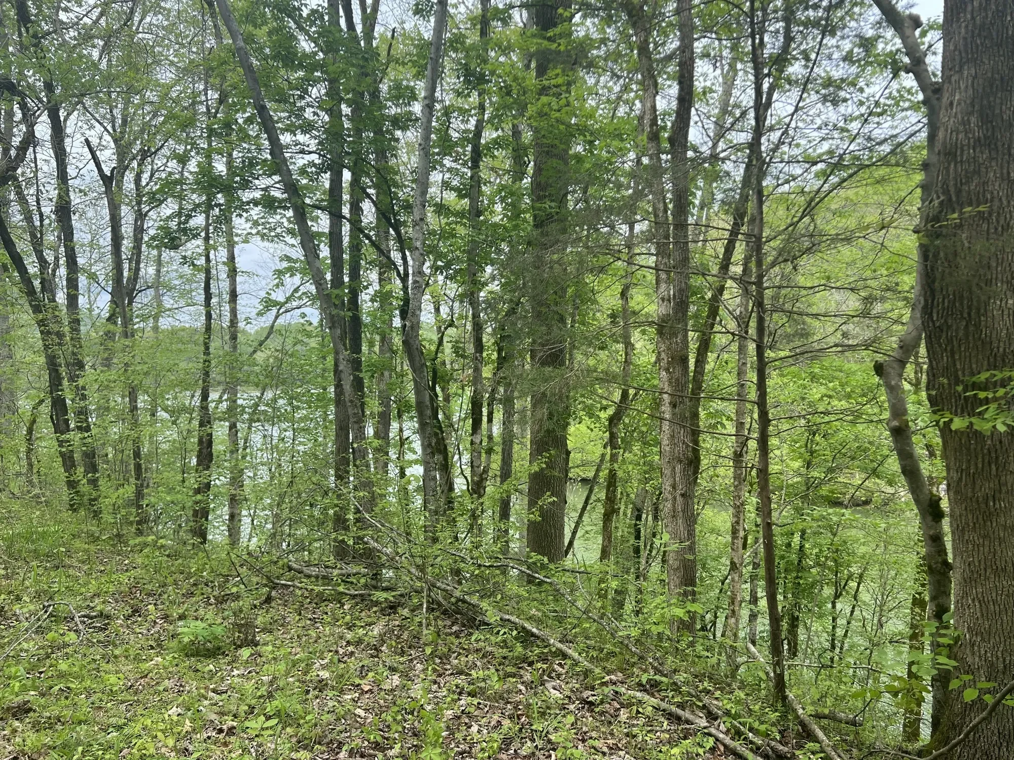 0 Huff Hollow Rd , Granville, TN 38564, Granville, Tennessee, United States. - Photo 31