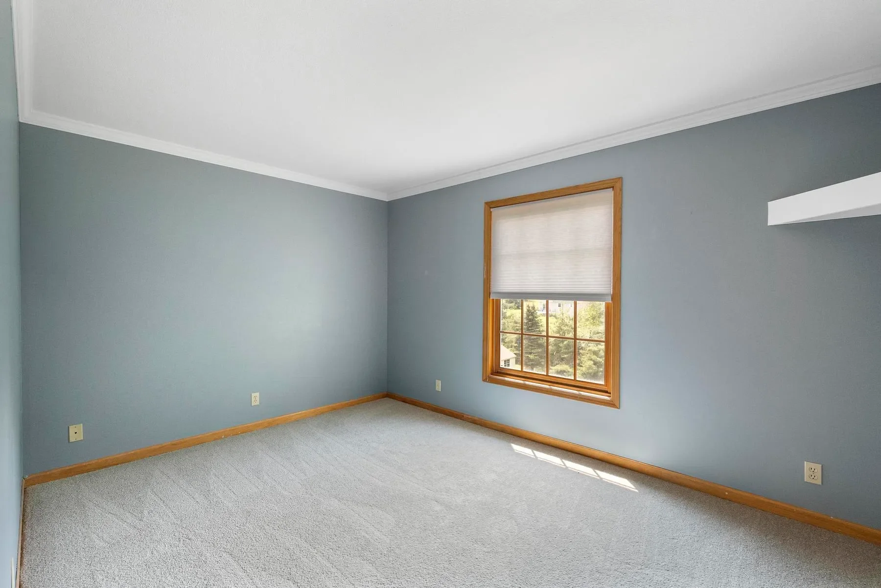 Gallery photo 10