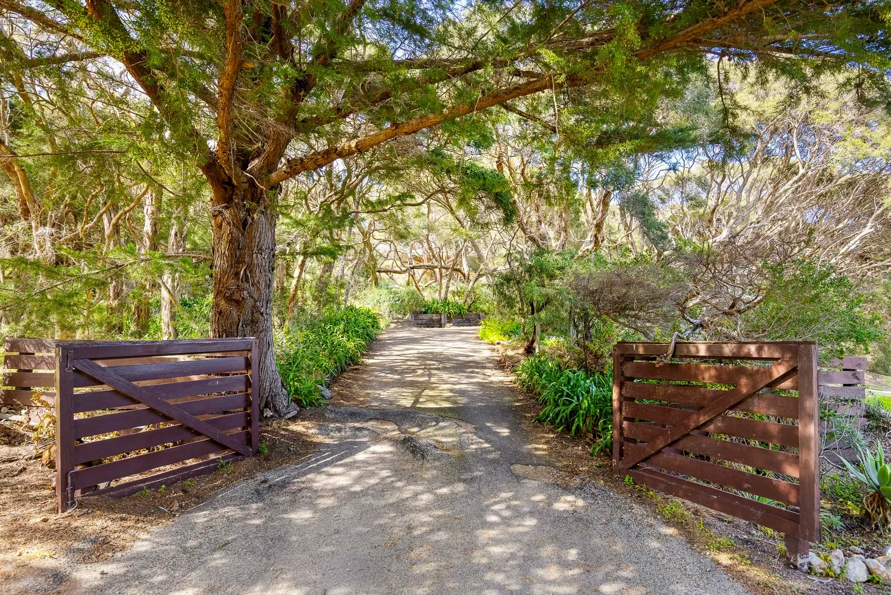 Gallery photo 11