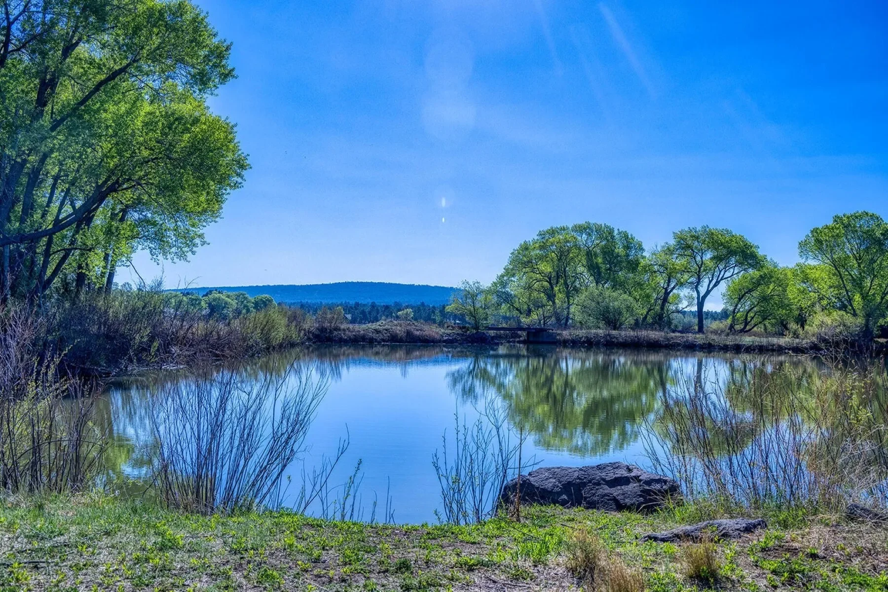 XXXX Larson Road , Pinetop-Lakeside, AZ 85259, Pinetop-Lakeside, Arizona, United States. - Photo 8